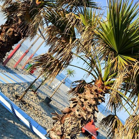 Hotel Villa Cesira Bellaria-Igea Marina Extérieur photo